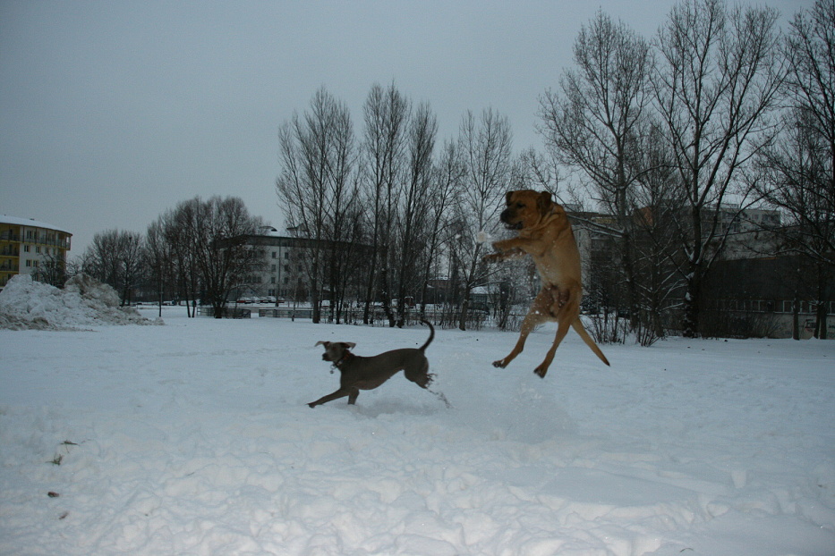 IMG_3662.JPG