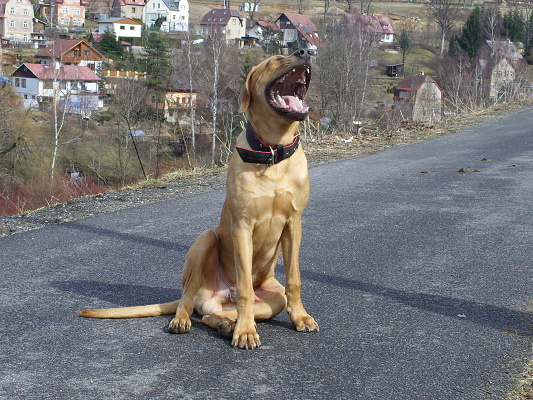 28.JPG