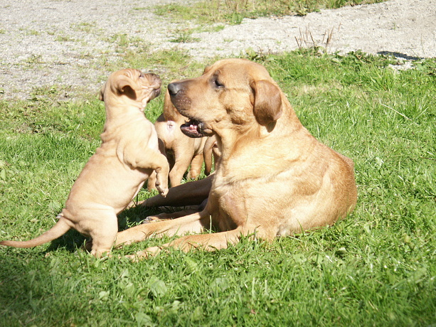 PICT0012.JPG