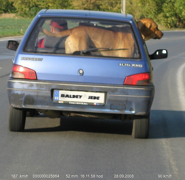 Baldey jede.jpg