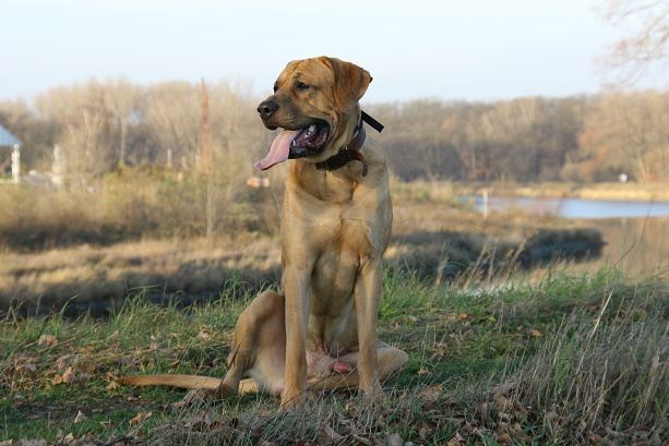 IMG_9643.JPG