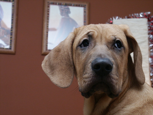 PICT0016.JPG