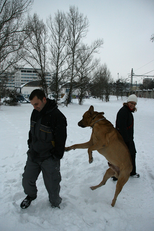 IMG_3650.JPG